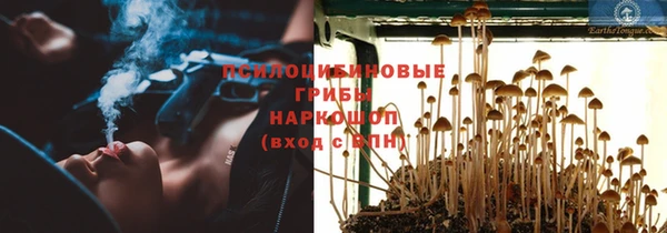 дживик Новодвинск