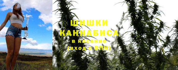 ALPHA PVP Бикин