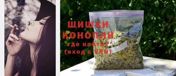 PSILOCYBIN Новокубанск