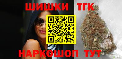 стаф Дубна