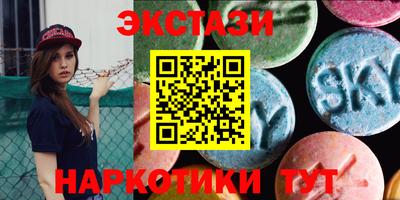 стаф Дубна