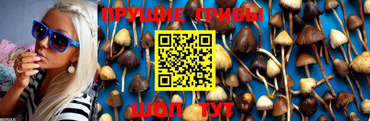 Псилоцибиновые грибы Magic Shrooms Ярославль